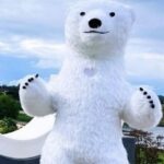 536272275 743832121616371 1817121627555764458 N