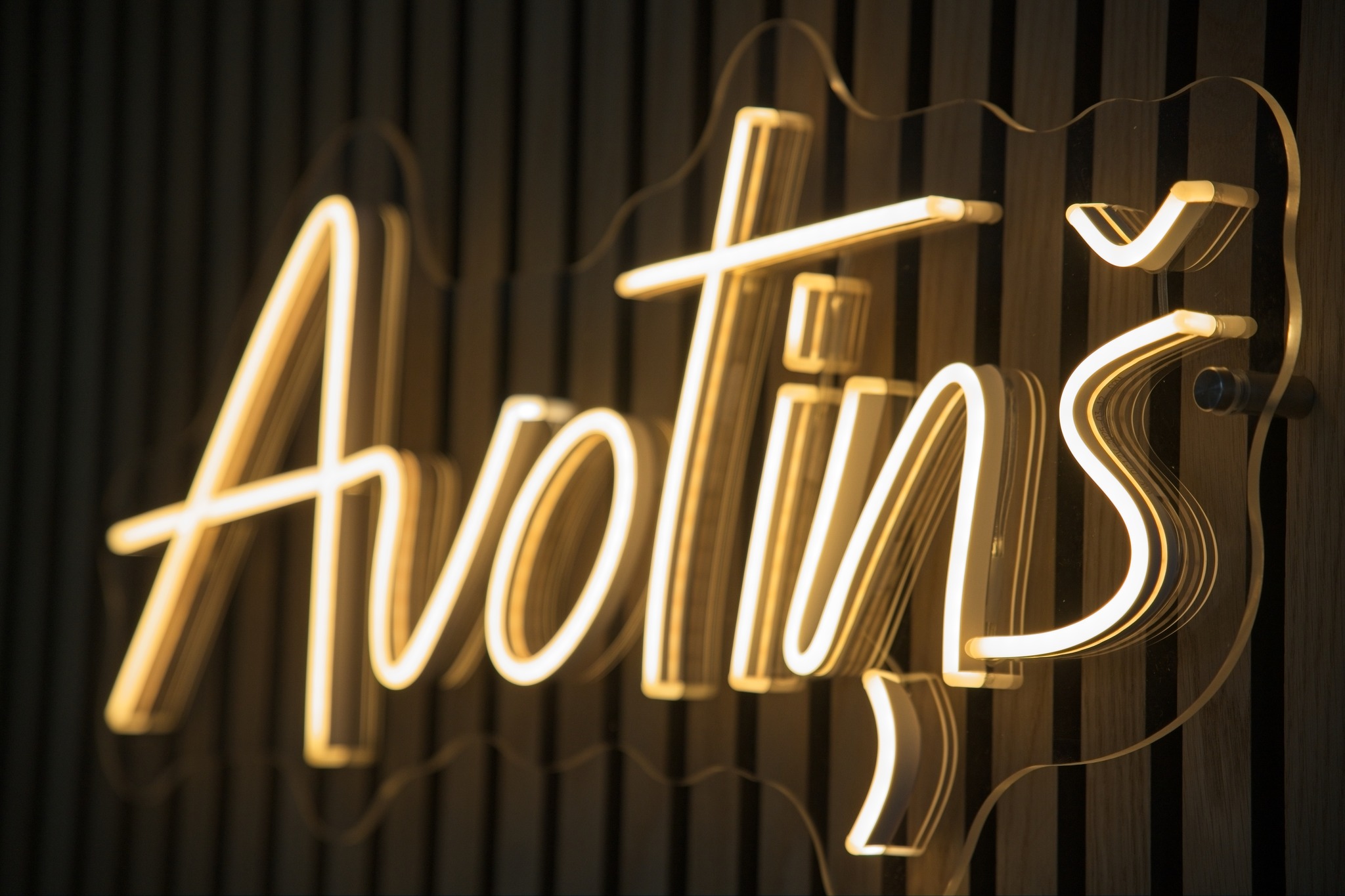 543048569 122112497162978966 2548910898007955073 N